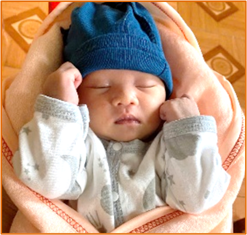 Hãy Cùng Chiến Đấu vì Sự Sống Tại Việt Nam – Cầu Nguyện 2026